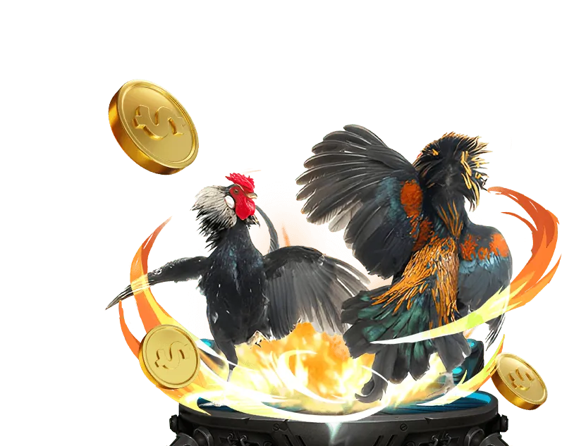 Quy tắc trò chơi và đặt cược tại ok365 vip